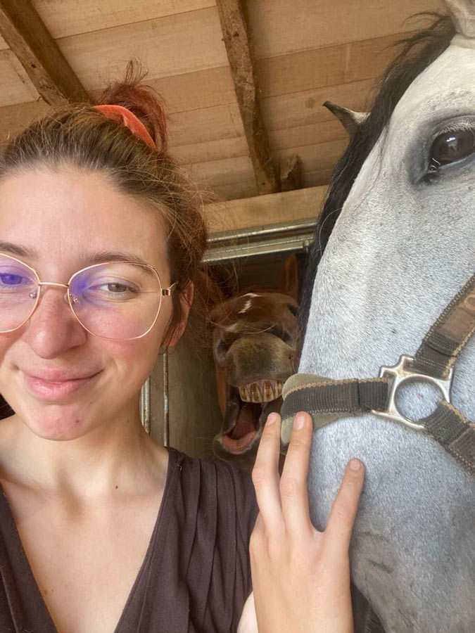 soins aux chevaux en pension