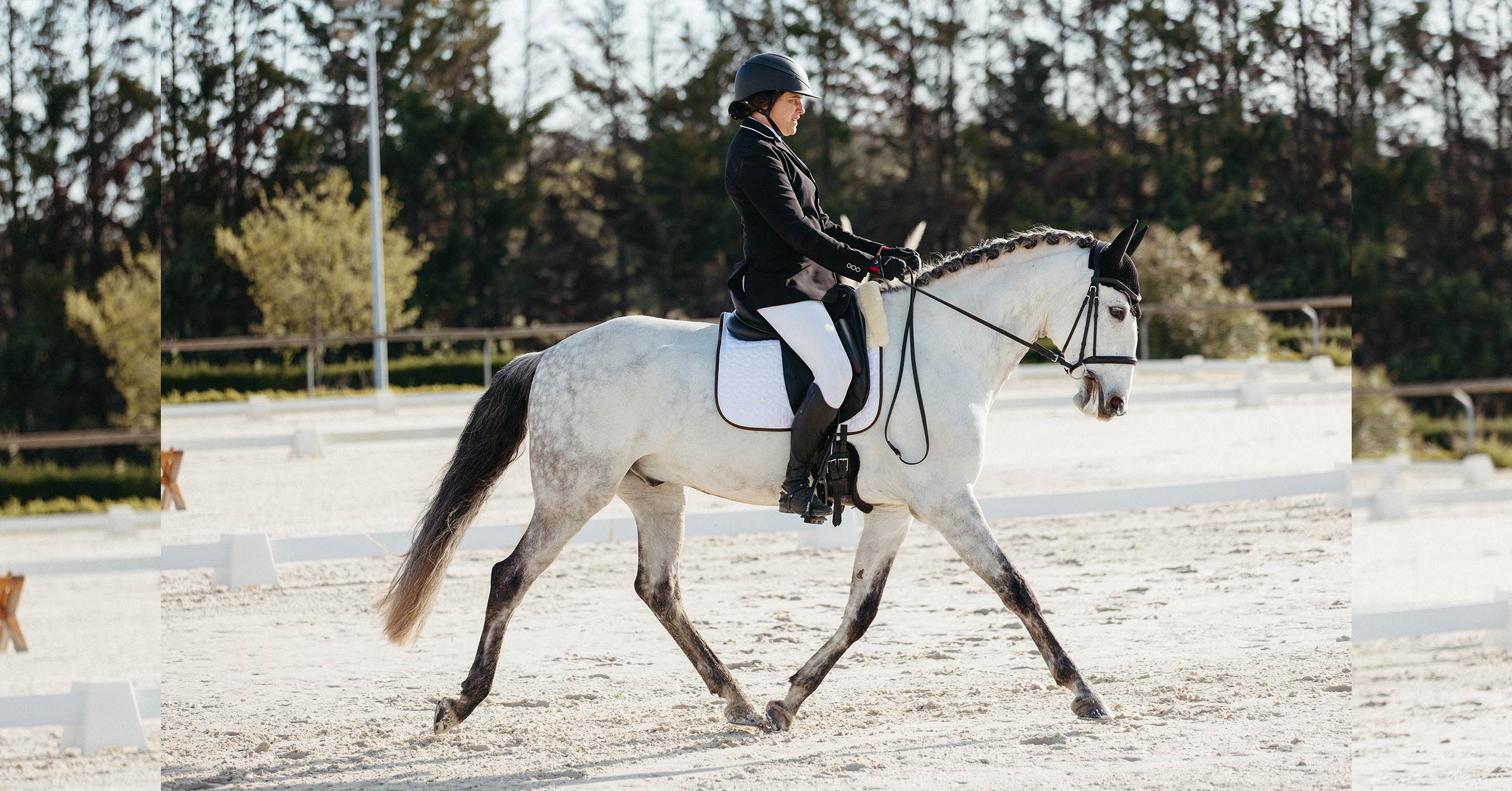 travail du cheval et enseignement dans le Lot
